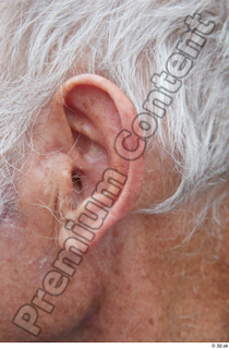 Street  675 ear 0001.jpg